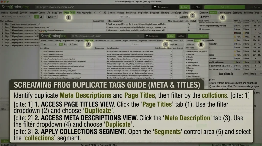 Screaming Frog duplicate tags guide | Altomate